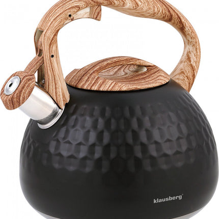 Klausberg KB-7562 - fluitketel - 2.8 L - rvs - alle warmtebronnen