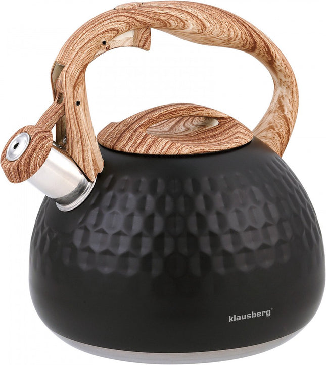 Klausberg KB-7562 - fluitketel - 2.8 L - rvs - alle warmtebronnen