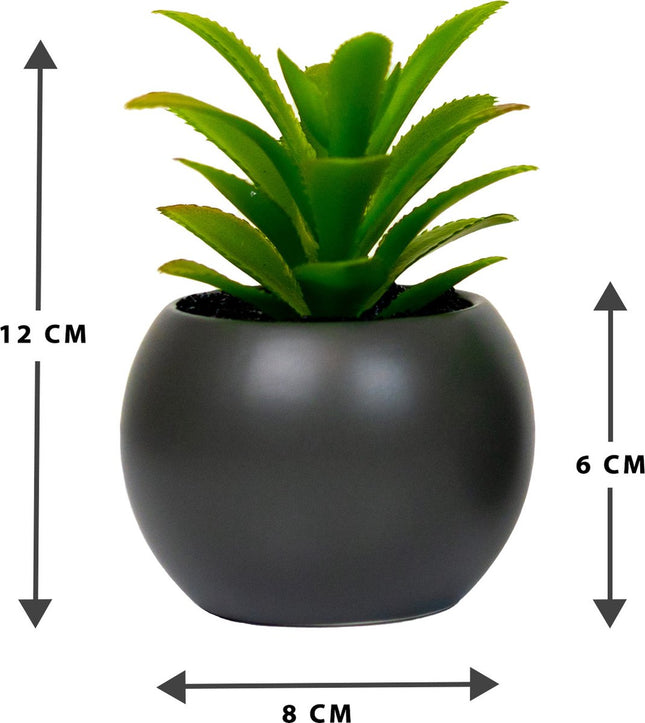 Atmosphera Kunstplant - Nepplant - Grijs - Set van 4 - Voor Binnen - Met Pot - Rond