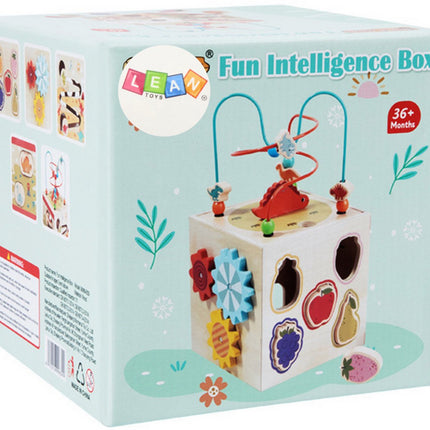 Houten Leerkubus Montessori Speelgoed 5-in-1 - Educatief Activiteitenkubus met Kralenbaan - Houten Speelgoed voor Kinderen vanaf 3 Jaar - Motoriek Leren Speelgoed -