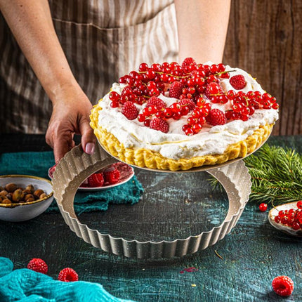 KINGHoff KH-1969 Vorm voor Taart met Uitneembare Bodem - Ø 25 cm - Marmermotief Antiaanbaklaag - Voor Quiche en Taarten - Bakvorm met Losse Bodem