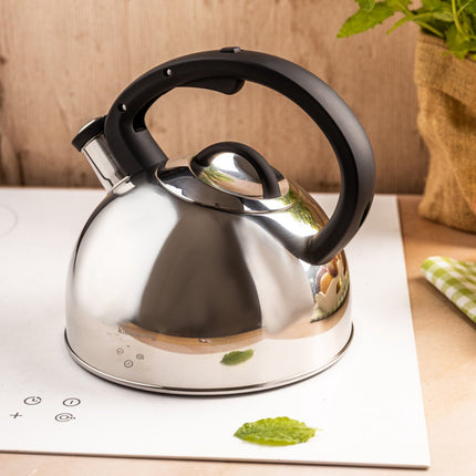 Klausberg 7910 - Fluitketel met fluit - 2.5 liter - RVS - Zilverkleurig