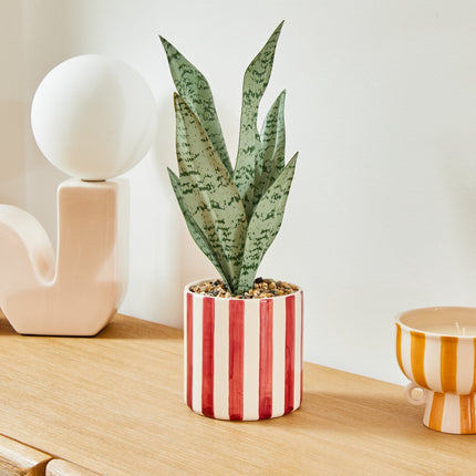 Atmosphera Kunstplant Sansevieria Chéri met keramische pot - Ø12xH38cm - Rood
