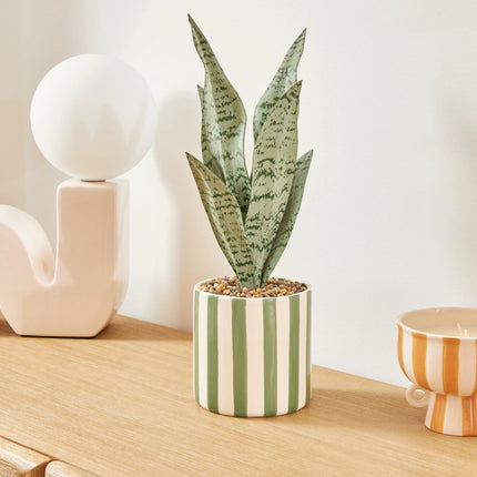Atmosphera Kunstplant Sansevieria Chéri met keramische pot - Ø12xH38cm - Groen
