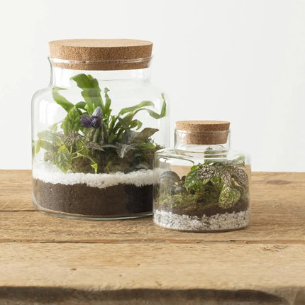 Atmosphera Pot/vaas van glas voor planten ecosysteem - deksel van kurk - D18 x H21 cm - terrarium