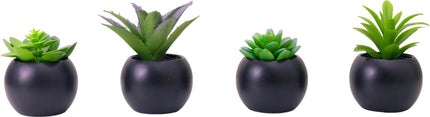 Atmosphera Kunstplant - Nepplant - Zwart - Set van 4 - Voor Binnen - Met Pot - Rond