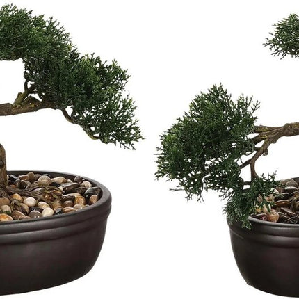 Set van 2x stuks atmosphera bonsai in keramische pot 23 cm - Nepplanten