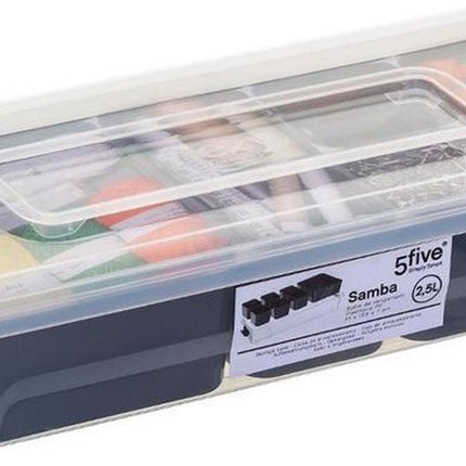 5Five Opslag sorteerbox - 5 vakjes indeling - 30 x 21 x 11 cm - kunststof - opbergdoos - 5000 ml