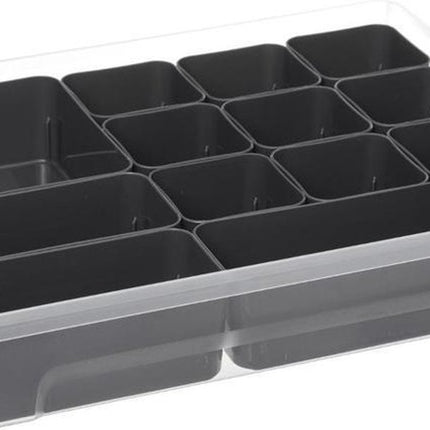 5Five Opslag sorteerbox - 5 vakjes indeling - 30 x 21 x 11 cm - kunststof - opbergdoos - 5000 ml