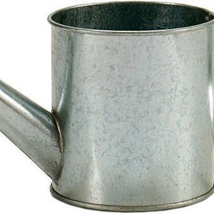 Ibergarden Bloempot Gieter 24,5 X 11 X 11 Cm Zink Zilvergrijs