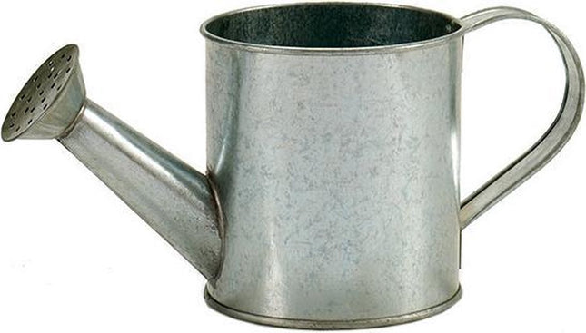 Ibergarden Bloempot Gieter 24,5 X 11 X 11 Cm Zink Zilvergrijs