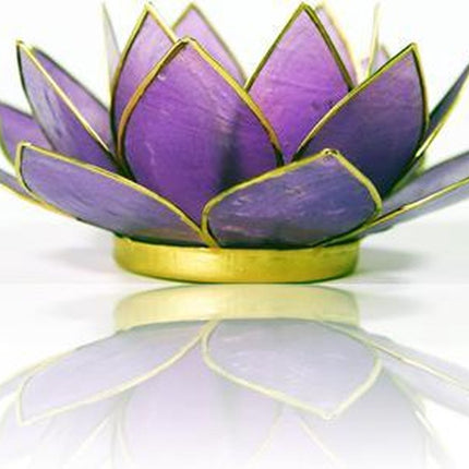 Lotus sfeerlicht lila goudrand - 13.5 - Schelp - Licht paars - Goudkleurig