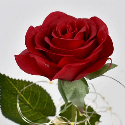 Forever Rose - Glazen case