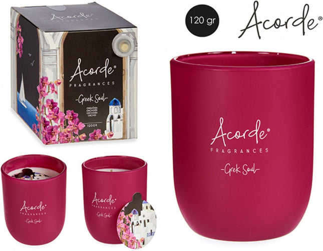 Acorde Geurkaarsen In Glas - Vier Kaarsen - Vier Geuren - Orchidee - Spa - Lavendel - Bamboe - Aroma - Parfum - Wax Wit - Kaarsglas 120 g - Kaars - 4 Stuks - Sfeer Cadeau