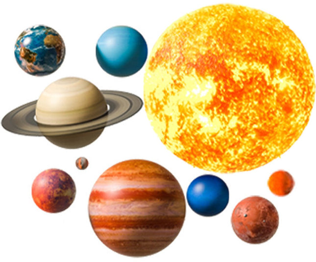 Sipo Wandsticker Dierenfiguren - Grote Zelfklevende Muurdecoratie voor Kinderkamer - 91x72 cm - Verplaatsbare Dieren Wandsticker voor Peuterkamer en Kinderdagverblijf