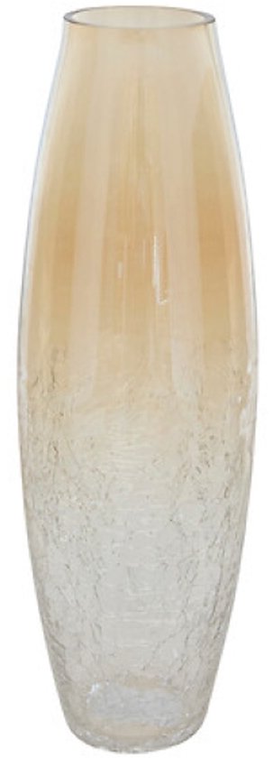 Vaas - Bloemenvaas - Glazen Vaas - Set van 2 - Crackle Glas - Luxe Interieur Decoratie - 25 cm & 39 cm in Hoogte - Transparant