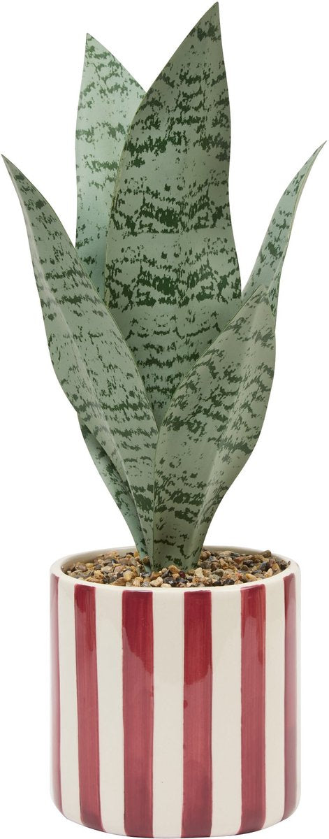 Atmosphera Kunstplant Sansevieria Chéri met keramische pot - Ø12xH38cm - Rood