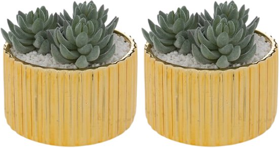 Le Collectionneur Plant - Kunst Vetplant - Set van 2 - Decoratieve Kamerplant - Onderhoudsvrije Mini Plant - Stijlvolle Woondecoratie - 12cm in Hoogte - met Gouden Keramische Pot