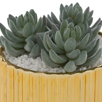 Le Collectionneur Plant - Kunst Vetplant - Set van 2 - Decoratieve Kamerplant - Onderhoudsvrije Mini Plant - Stijlvolle Woondecoratie - 12cm in Hoogte - met Gouden Keramische Pot
