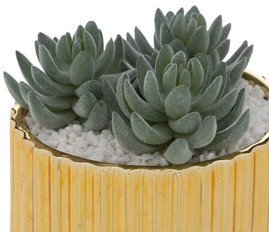 Le Collectionneur Plant - Kunst Vetplant - Set van 2 - Decoratieve Kamerplant - Onderhoudsvrije Mini Plant - Stijlvolle Woondecoratie - 12cm in Hoogte - met Gouden Keramische Pot