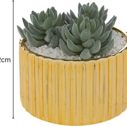 Le Collectionneur Plant - Kunst Vetplant - Set van 2 - Decoratieve Kamerplant - Onderhoudsvrije Mini Plant - Stijlvolle Woondecoratie - 12cm in Hoogte - met Gouden Keramische Pot
