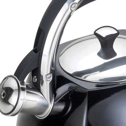 Klausberg KB-7194  fluitketel - 3L - rvs - alle warmtebronnen