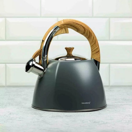 Klausberg KB-7501 fluitketel 3 liter, rvs, geschikt voor alle warmtebronnen