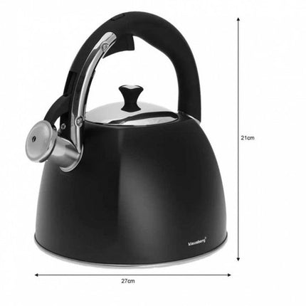 Klausberg KB-7194  fluitketel - 3L - rvs - alle warmtebronnen