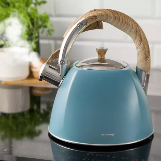 Klausberg KB-7499 fluitketel - 3L - rvs - alle warmtebronnen
