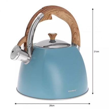Klausberg KB-7499 fluitketel - 3L - rvs - alle warmtebronnen