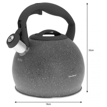 Klausberg KB-7267 fluitketel - 3L - rvs - alle warmtebronnen