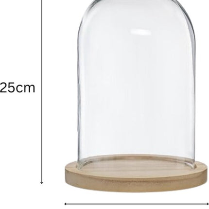 Glazen Cloche - Glazen Stolp - Glas Dome - Set van 2 - Decoratieve Stolp met Houten Voet - 18 x 25 cm - Transparant