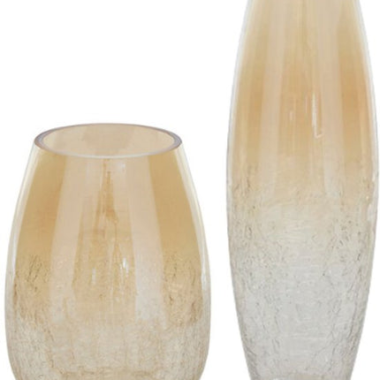 Vaas - Bloemenvaas - Glazen Vaas - Set van 2 - Crackle Glas - Luxe Interieur Decoratie - 25 cm & 39 cm in Hoogte - Transparant