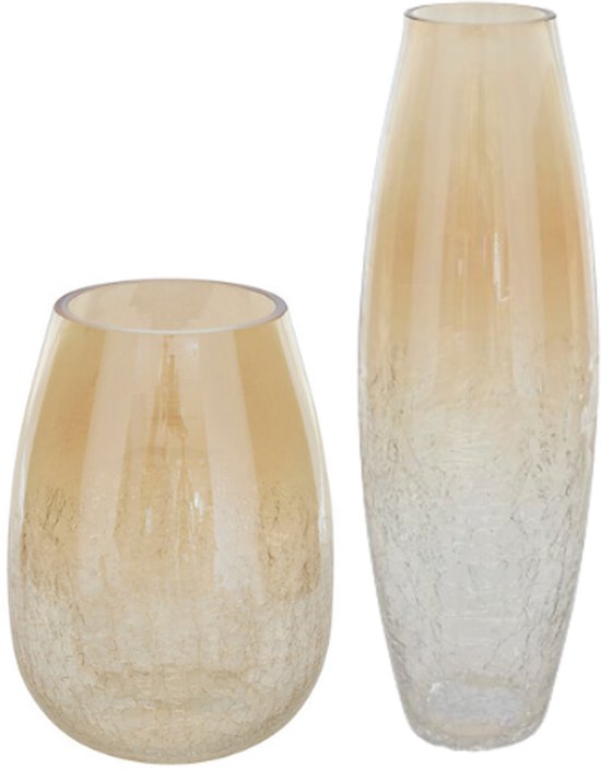 Vaas - Bloemenvaas - Glazen Vaas - Set van 2 - Crackle Glas - Luxe Interieur Decoratie - 25 cm & 39 cm in Hoogte - Transparant
