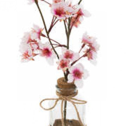 Kersenvaas droom roze
