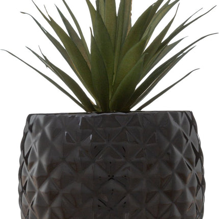 Kunstplant in Zwarte Ananas Pot – H21 cm