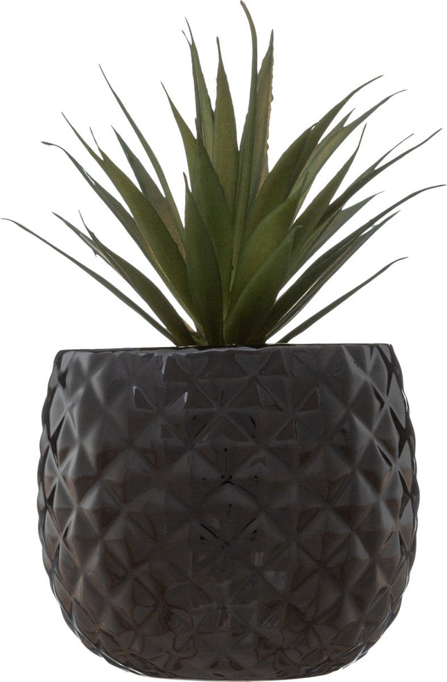 Kunstplant in Zwarte Ananas Pot – H21 cm