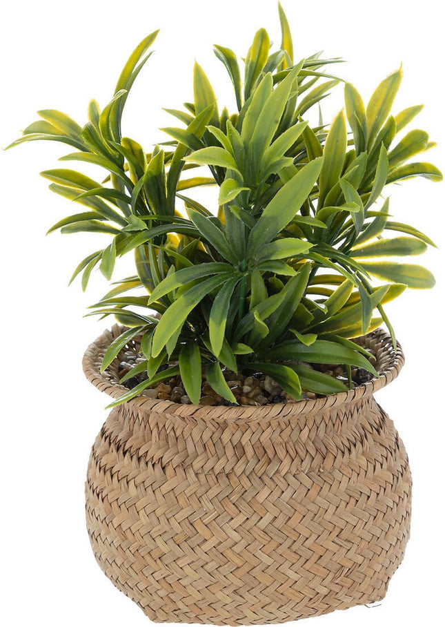 Kunstplant in pot JIL, hoogte 20 cm